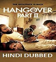 The Hangover 2 Hindi Dubbed