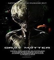 Gray Matter (2018)