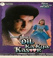 Dil Ka Kya Kasoor (1992)