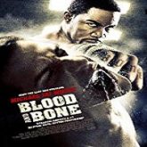 Blood and Bone Hindi Dubbed