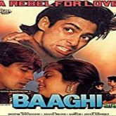 Baaghi: A Rebel for Love (1990)