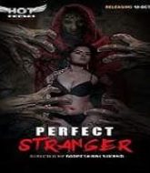 Perfect Stranger (2020)