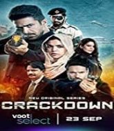 Crackdown (2020) Hindi Season 1