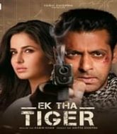 Ek Tha Tiger (2012)