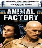 Animal Factory Hindi Dubbed