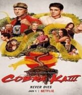 Cobra Kai Season 3 Hindi Dubbed