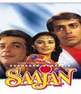 Saajan (1991)