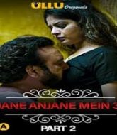 Charmsukh Jane Anjane Mein 3 (Part 2)