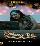 Palang Tod (Bekaboo Dil)