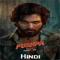 Pushpa The Rise Hindi Dubbed