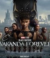 Black Panther 2 Hindi Dubbed