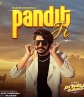 DJ Wale Babu Hindi Dubbed