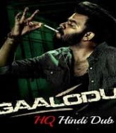 Gaalodu (2023) Hindi Dubbed