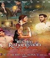 Teri Meri Kahaniyaan (2023)